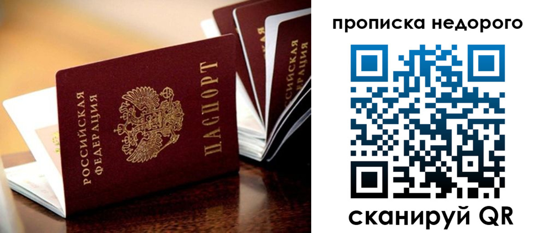 временная прописка в Светогорске