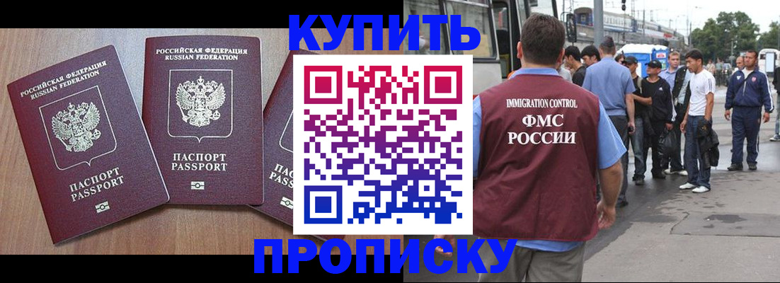 прописка 2025 в Светогорске